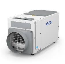 The Best Dehumidifiers to Prevent Mold
