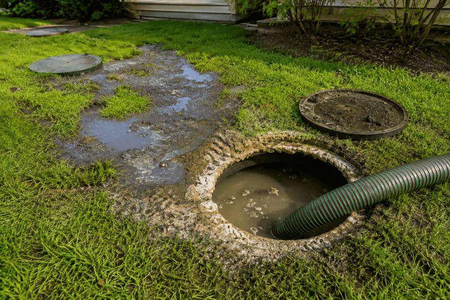 Septic System clean up